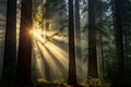 Humble Redwood forest sunrays. Generate Ai Royalty Free Stock Photo