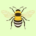 Humblebee vector illustration flat style front side Royalty Free Stock Photo