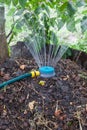 Humidification compost pile using sprinkler Royalty Free Stock Photo