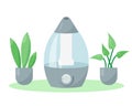 Humidifier or air moisturiser and plants.