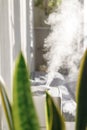 humidifier in the apartment among the plants, air entrainment and purification in the opotypical season, air freshener Royalty Free Stock Photo