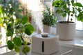 Humidifier for indoor plants. Steam vaporizer working inside apartment to hydrate houseplants