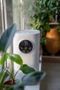 Humidifier standing on window sill creating comfortable living conditions for plants, pets, people