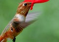 Hummer In Red