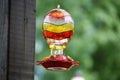 Humming bird feeder close up Royalty Free Stock Photo