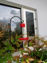 Humming bird feeder near glass window. Royalty Free Stock Photo