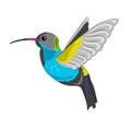 Humming bird icon