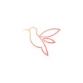 humming bird logo design template vector illustration icon element