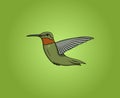 Humming bird vector icon illustration on green background. Modern colorful hummingbird fly logo. Abstract bird vector.