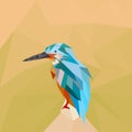 Humming bird vector lowpoly. Humming bird in lowpoly style vector