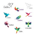 Colorful Colibri with Text Description. Hummingbirds for Logo Concepts .EPS10 Royalty Free Stock Photo