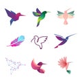 Colorful Colibri. Hummingbirds for Logo Concepts .EPS10 Royalty Free Stock Photo