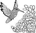 Hummingbird antistress. Picture for zentangle colorings. Vector illustration EPS 10.