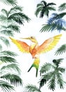 Hummingbird bird icon graphic, icon, watercolor drawing, line, p Royalty Free Stock Photo