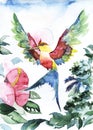 Hummingbird bird icon graphic, icon, watercolor drawing, line, p Royalty Free Stock Photo