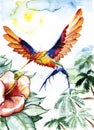 Hummingbird bird icon graphic, icon, watercolor drawing, line, p Royalty Free Stock Photo