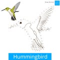 Hummingbird bird learn to draw vector