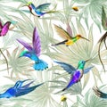 Hummingbird birds seamless pattern on palm leaves background,