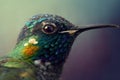 Hummingbird, close up, macro, detailed. Portrait of colorful bird, wildlife
