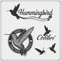 Hummingbird colibri bird silhouettes, logos, emblems and design elements. Royalty Free Stock Photo