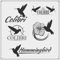 Hummingbird colibri bird silhouettes, logos, emblems and design elements. Royalty Free Stock Photo