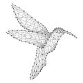Hummingbird colibri flying bird from abstract futuristic polygonal black lines and dots. Vector illustration