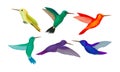 Hummingbird colibri Vector Set. Tropical Birds Collection Royalty Free Stock Photo