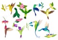 Hummingbird collection. Multi-colored flying tropical colibri with different flowers isolated on white background