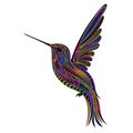 Original color vector Hummingbird in zentangle style