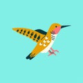 Hummingbird color element. Abstract exotic animal.