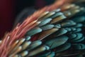 Hummingbird colorful feathers background. Generative AI