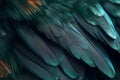 Hummingbird colorful feathers background. Generative AI