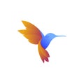 Hummingbird with colorful logo design