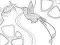 Hummingbird coloring book for adults vector Royalty Free Stock Photo
