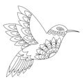 Hummingbird Contour linear illustration for coloring book. Line art design in zentangle style and coloring page. Vector. Royalty Free Stock Photo
