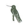 Hummingbird design vector illustration, Creative Hummingbird logo template, icon symbol Royalty Free Stock Photo