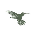 Hummingbird design vector illustration, Creative Hummingbird logo template, icon symbol Royalty Free Stock Photo