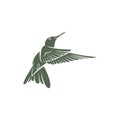 Hummingbird design vector illustration, Creative Hummingbird logo template, icon symbol Royalty Free Stock Photo