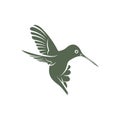 Hummingbird design vector illustration, Creative Hummingbird logo template, icon symbol Royalty Free Stock Photo