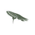 Hummingbird design vector illustration, Creative Hummingbird logo template, icon symbol Royalty Free Stock Photo