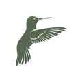 Hummingbird design vector illustration, Creative Hummingbird logo template, icon symbol Royalty Free Stock Photo