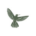 Hummingbird design vector illustration, Creative Hummingbird logo template, icon symbol Royalty Free Stock Photo