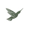 Hummingbird design vector illustration, Creative Hummingbird logo template, icon symbol Royalty Free Stock Photo