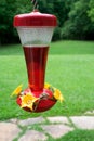 Hummingbird feeder