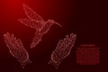 Hummingbird flies and two holding, protecting hands from futuristic polygonal red lines and glowing stars for banner, poster,