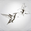 Hummingbird in a floral ornament. vector illustration Royalty Free Stock Photo
