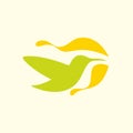 Hummingbird with flower. Vector logo mark template or icon of little green colibri bird and yellow floral petals Royalty Free Stock Photo