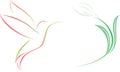 Hummingbird and flower illustration Royalty Free Stock Photo