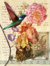 Digital collage of a Hummingbird With Flowers Still-Life.