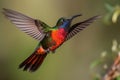 hummingbird fluttering through the air, practicing its flying skills
